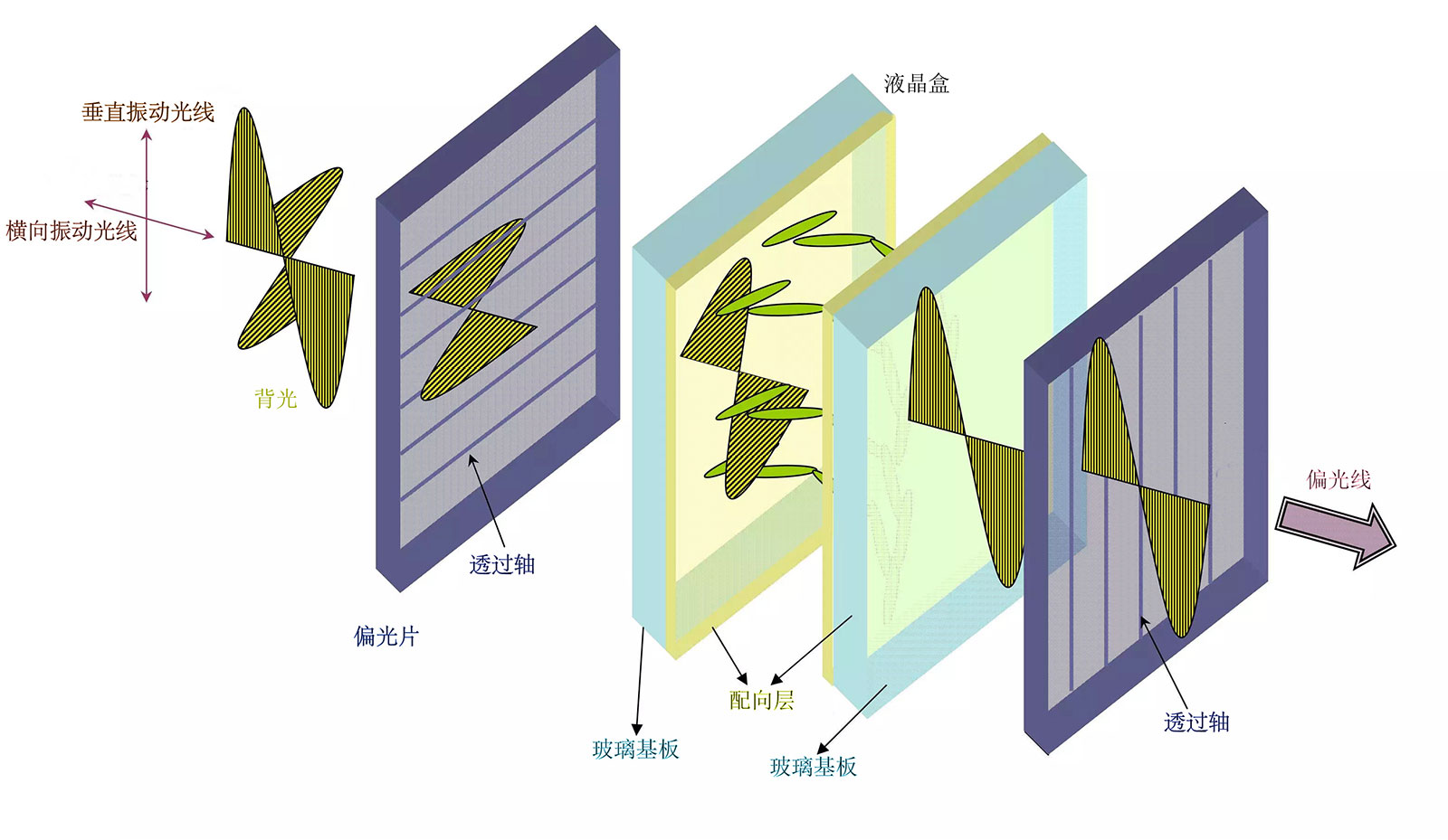 ZNCHI深圳市正馳科技有限公司_液晶面板結(jié)構(gòu)示意圖